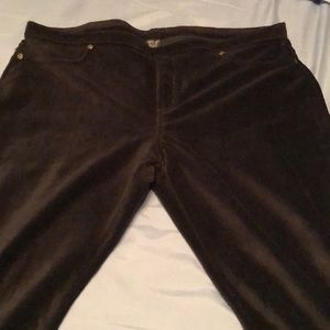 HUE black dress leggings